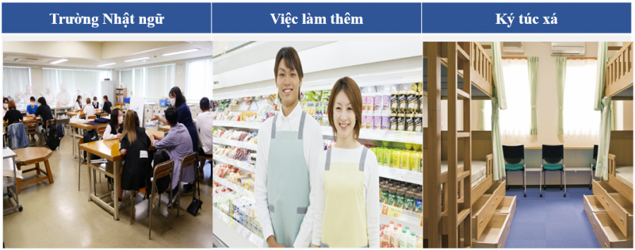 1f184edf674d1c5af9701eebcfe6d0db_1672564757_3776.png
